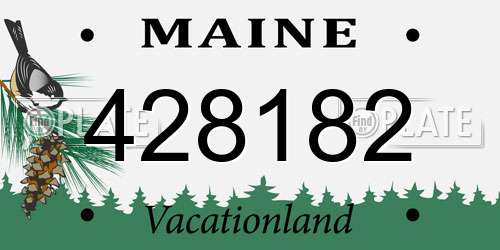 428182 Maine License Plate
