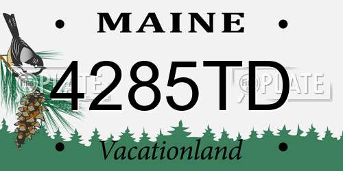 4285TD Maine License Plate