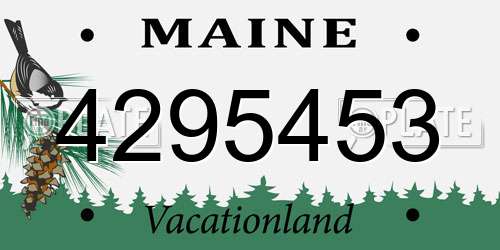 4295453 Maine License Plate