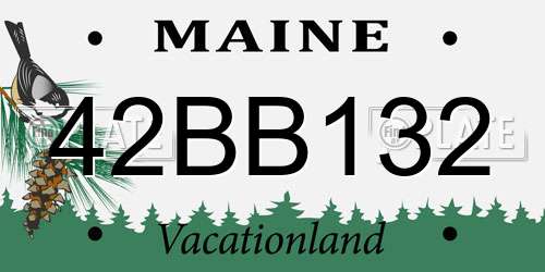 42BB132 Maine License Plate