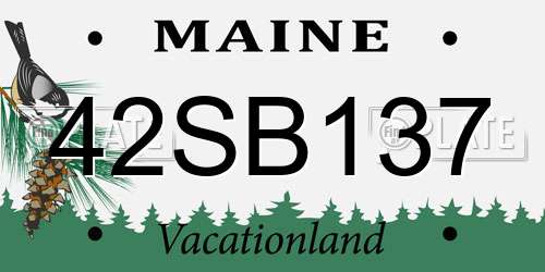 42SB137 Maine License Plate