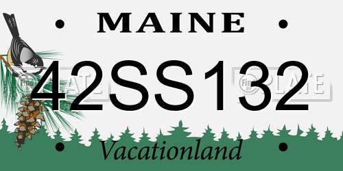 42SS132 Maine License Plate