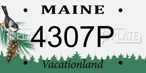 4307P Maine License Plate