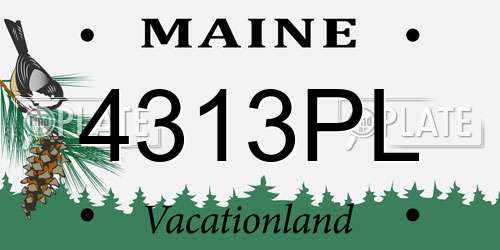 4313PL Maine License Plate