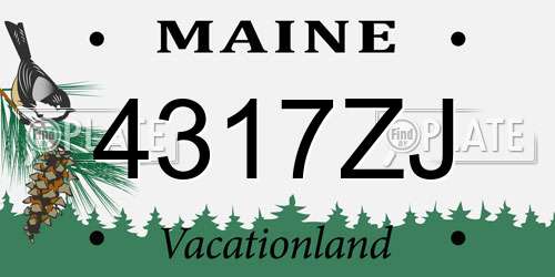 4317ZJ Maine License Plate