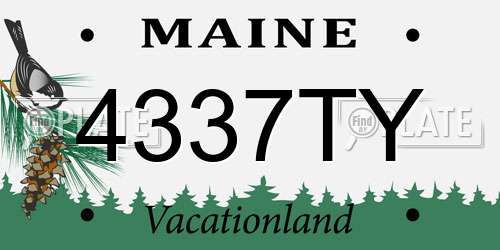 4337TY Maine License Plate