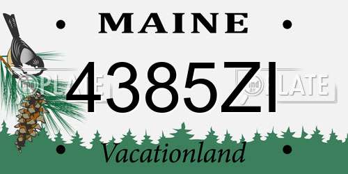 4385ZI Maine License Plate