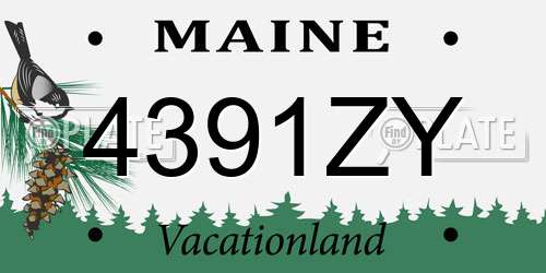 4391ZY Maine License Plate