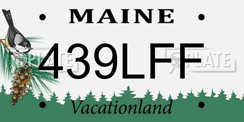 439LFF Maine License Plate