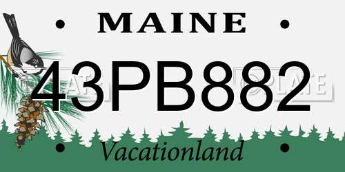 43PB882 Maine License Plate