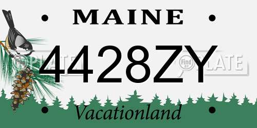 4428ZY Maine License Plate