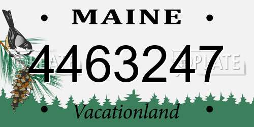 4463247 Maine License Plate