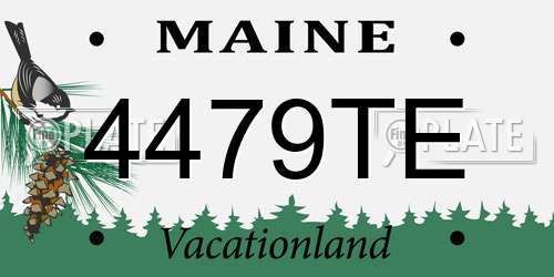 4479TE Maine License Plate