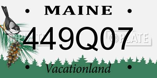 449Q07 Maine License Plate