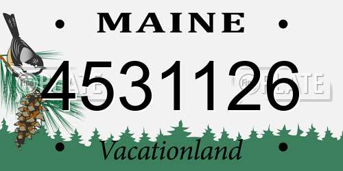 4531126 Maine License Plate