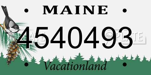 4540493 Maine License Plate