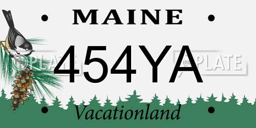 454YA Maine License Plate