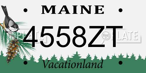 4558ZT Maine License Plate