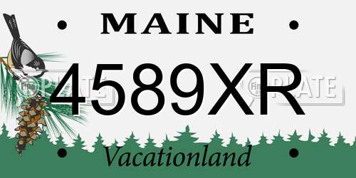4589XR Maine License Plate