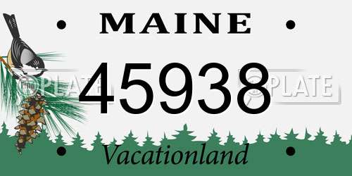 45938 Maine License Plate