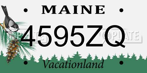 4595ZQ Maine License Plate
