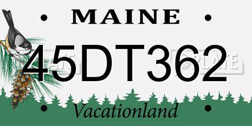 45DT362 Maine License Plate
