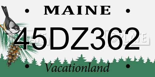 45DZ362 Maine License Plate
