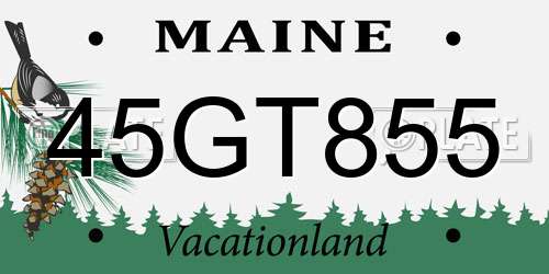 45GT855 Maine License Plate