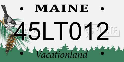 45LT012 Maine License Plate