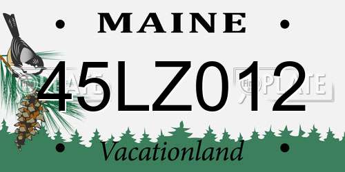 45LZ012 Maine License Plate
