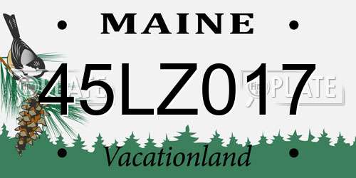 45LZ017 Maine License Plate