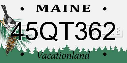 45QT362 Maine License Plate