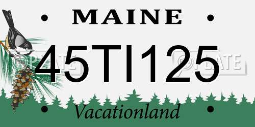 45TI125 Maine License Plate