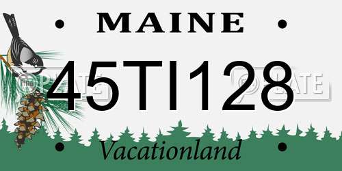 45TI128 Maine License Plate