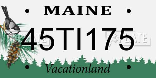 45TI175 Maine License Plate