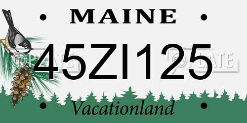 45ZI125 Maine License Plate