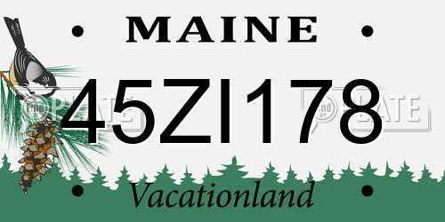 45ZI178 Maine License Plate