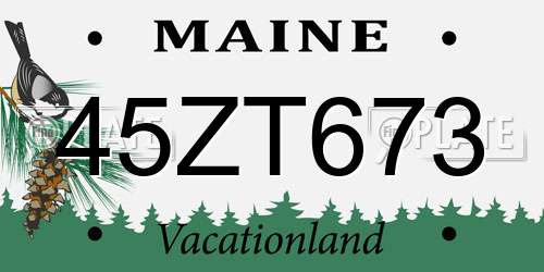 45ZT673 Maine License Plate