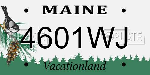 4601WJ Maine License Plate
