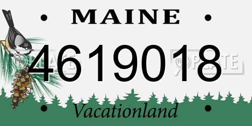 4619018 Maine License Plate