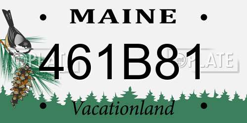 461B81 Maine License Plate