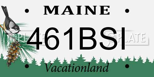 461BSI Maine License Plate