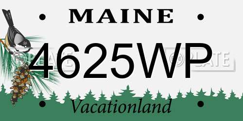 4625WP Maine License Plate