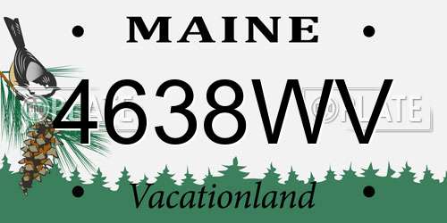 4638WV Maine License Plate