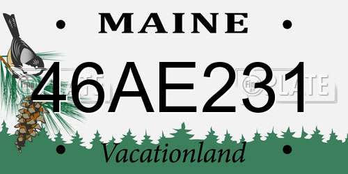 46AE231 Maine License Plate
