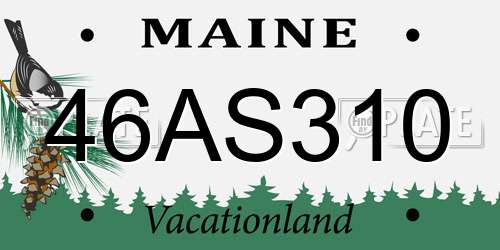 46AS310 Maine License Plate