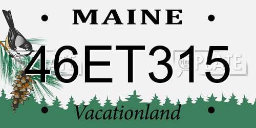 46ET315 Maine License Plate
