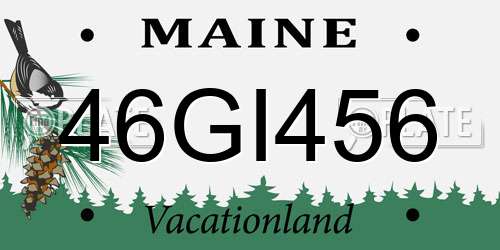 46GI456 Maine License Plate