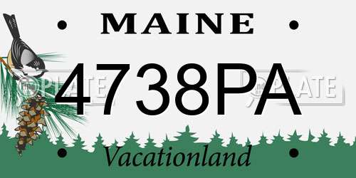 4738PA Maine License Plate