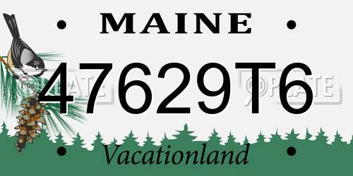 47629T6 Maine License Plate